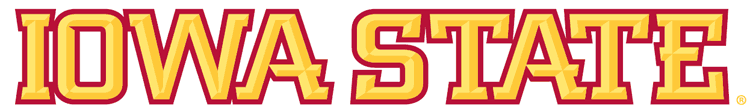 Iowa State Cyclones 2007-Pres Wordmark Logo 06 iron on paper